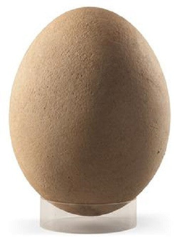 Dodo Chicken Egg