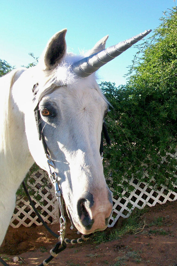 Unicorn Horn